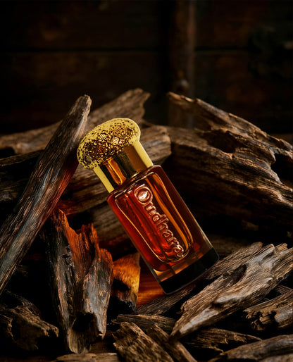 Oudhara Malaki Oud Oil – The Royal Oud